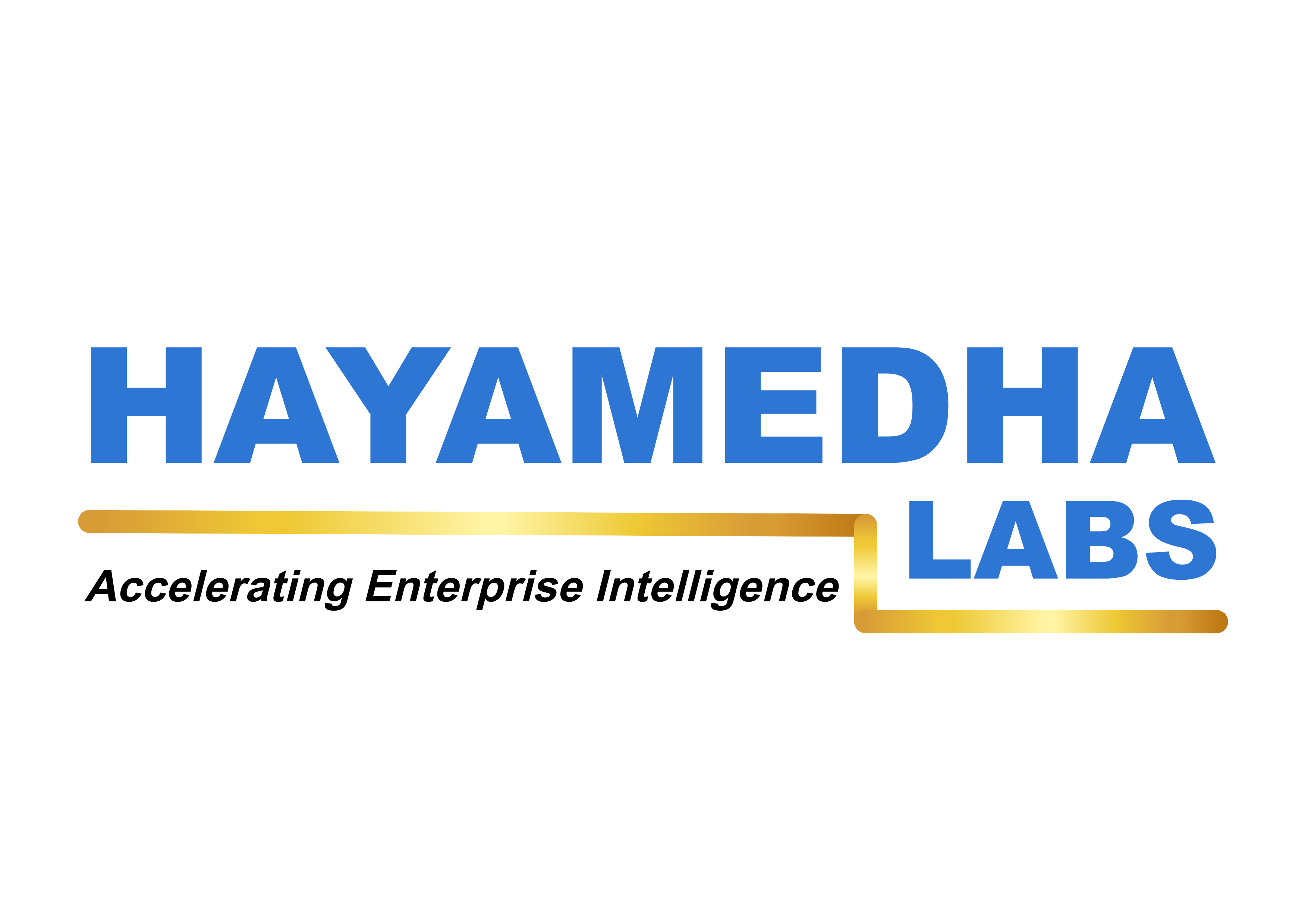 Hayamedha Labs - Accelerating Enterprise Intelligence